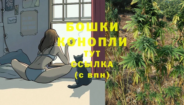 ECSTASY Липки
