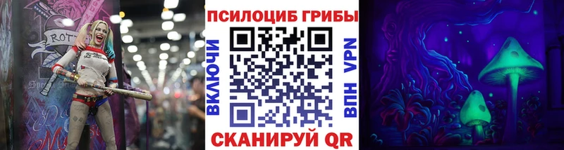 Псилоцибиновые грибы Psilocybe  Томмот 